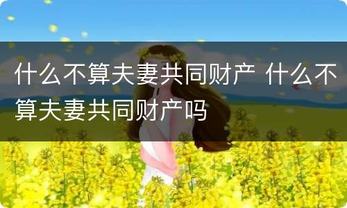 什么不算夫妻共同财产 什么不算夫妻共同财产吗