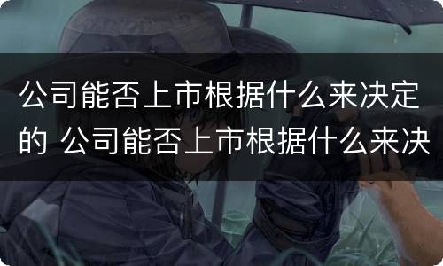 公司能否上市根据什么来决定的 公司能否上市根据什么来决定的呢