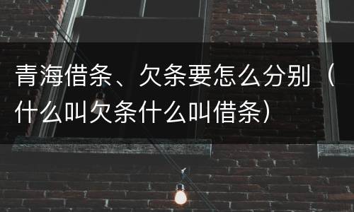 青海借条、欠条要怎么分别（什么叫欠条什么叫借条）