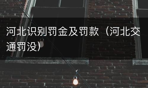 河北识别罚金及罚款（河北交通罚没）