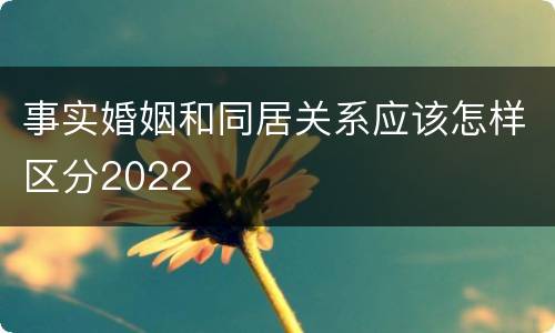 事实婚姻和同居关系应该怎样区分2022