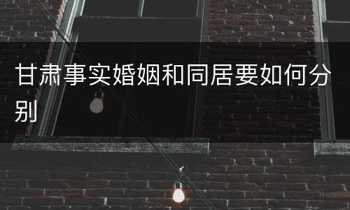 甘肃事实婚姻和同居要如何分别