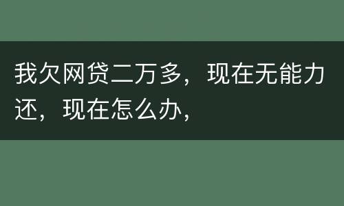 我欠网贷二万多，现在无能力还，现在怎么办，