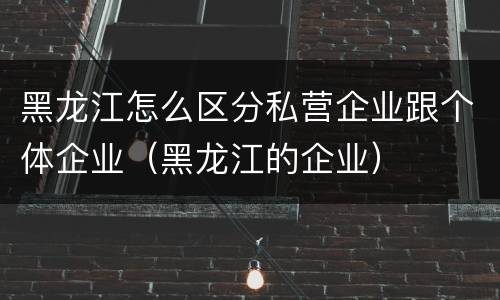 黑龙江怎么区分私营企业跟个体企业（黑龙江的企业）