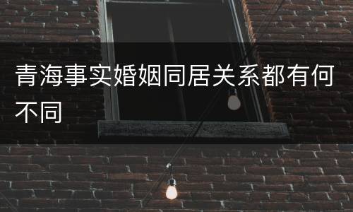 青海事实婚姻同居关系都有何不同