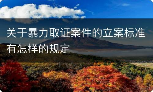 关于暴力取证案件的立案标准有怎样的规定