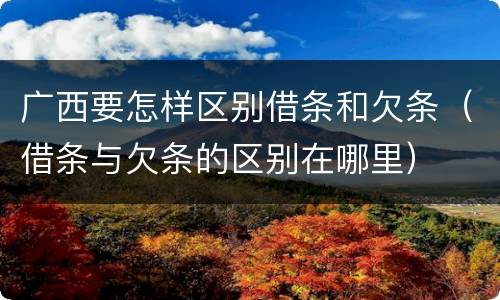 广西要怎样区别借条和欠条（借条与欠条的区别在哪里）
