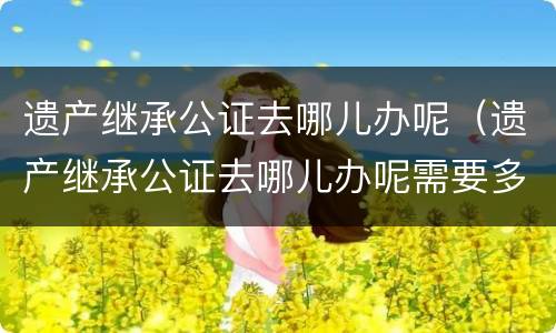 遗产继承公证去哪儿办呢（遗产继承公证去哪儿办呢需要多久）