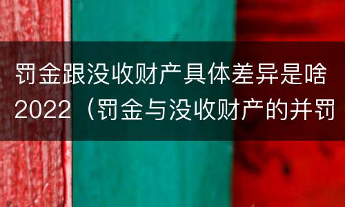 罚金跟没收财产具体差异是啥2022（罚金与没收财产的并罚）