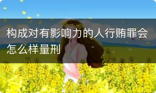 构成对有影响力的人行贿罪会怎么样量刑