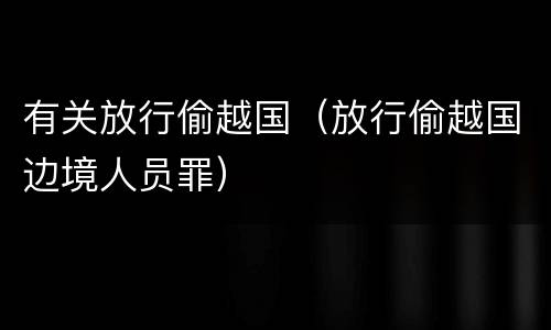 有关放行偷越国（放行偷越国边境人员罪）