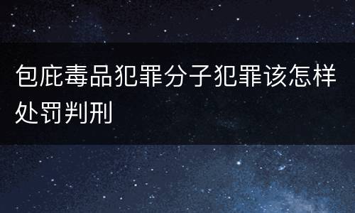 包庇毒品犯罪分子犯罪该怎样处罚判刑