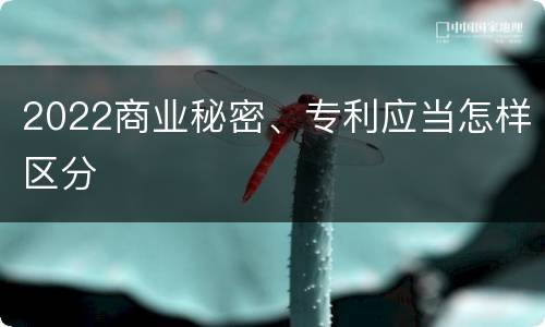 2022商业秘密、专利应当怎样区分