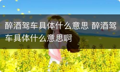 醉酒驾车具体什么意思 醉酒驾车具体什么意思啊