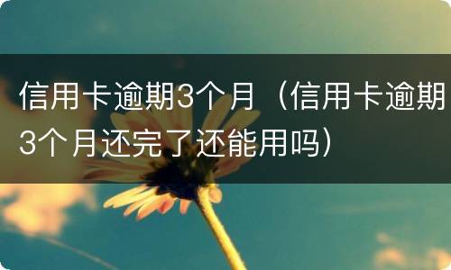 信用卡逾期3个月（信用卡逾期3个月还完了还能用吗）