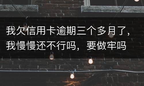 我欠信用卡逾期三个多月了，我慢慢还不行吗，要做牢吗