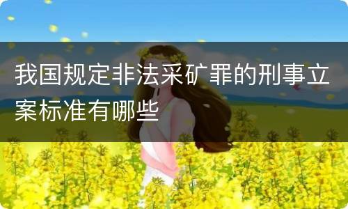 我国规定非法采矿罪的刑事立案标准有哪些