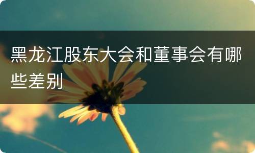 黑龙江股东大会和董事会有哪些差别