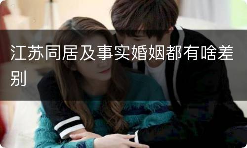 江苏同居及事实婚姻都有啥差别