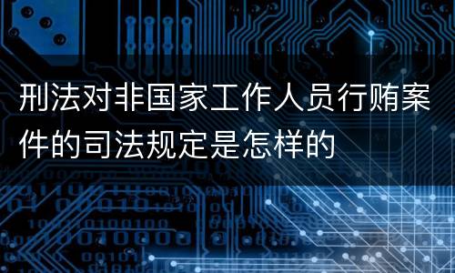 刑法对非国家工作人员行贿案件的司法规定是怎样的