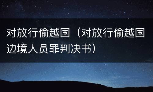 对放行偷越国（对放行偷越国边境人员罪判决书）