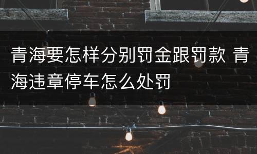 青海要怎样分别罚金跟罚款 青海违章停车怎么处罚