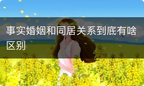 事实婚姻和同居关系到底有啥区别