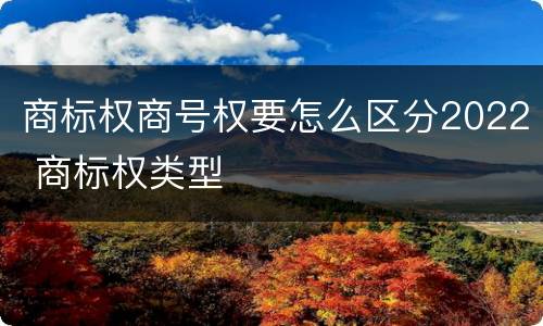 商标权商号权要怎么区分2022 商标权类型