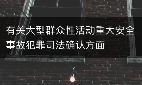 有关大型群众性活动重大安全事故犯罪司法确认方面