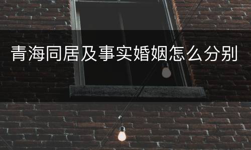 青海同居及事实婚姻怎么分别