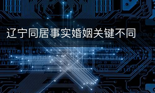 辽宁同居事实婚姻关键不同