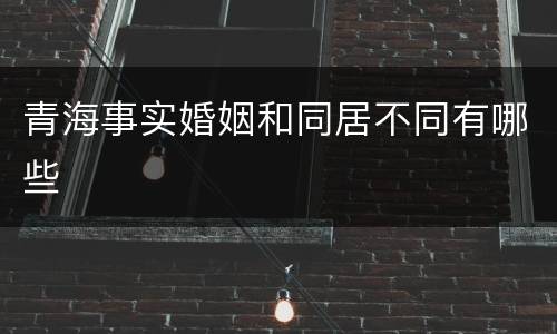 青海事实婚姻和同居不同有哪些