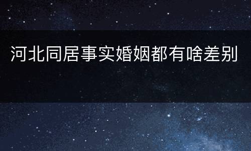 河北同居事实婚姻都有啥差别