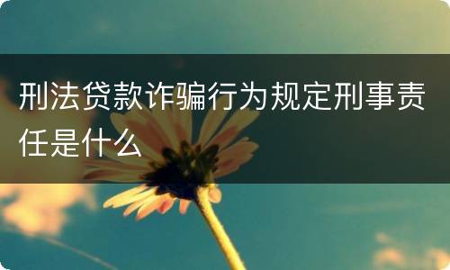 刑法贷款诈骗行为规定刑事责任是什么