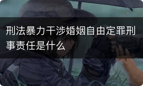 刑法暴力干涉婚姻自由定罪刑事责任是什么