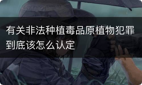 有关非法种植毒品原植物犯罪到底该怎么认定