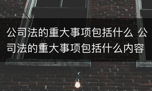 公司法的重大事项包括什么 公司法的重大事项包括什么内容
