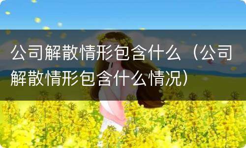 公司解散情形包含什么（公司解散情形包含什么情况）
