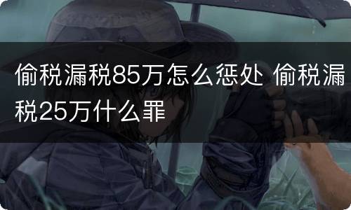 偷税漏税85万怎么惩处 偷税漏税25万什么罪