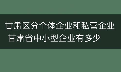 甘肃区分个体企业和私营企业 甘肃省中小型企业有多少