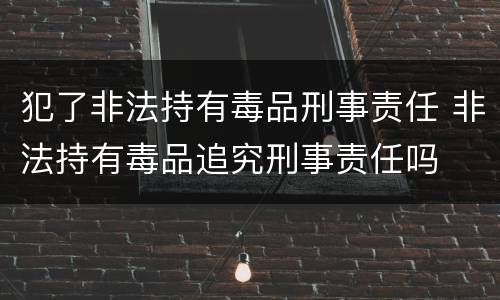 犯了非法持有毒品刑事责任 非法持有毒品追究刑事责任吗