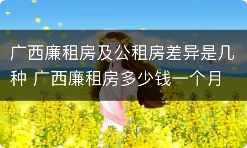 广西廉租房及公租房差异是几种 广西廉租房多少钱一个月
