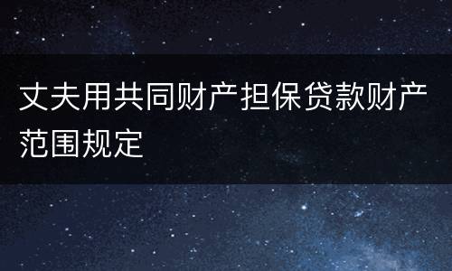 丈夫用共同财产担保贷款财产范围规定