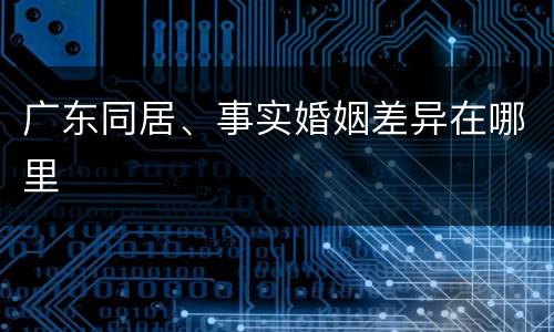 广东同居、事实婚姻差异在哪里