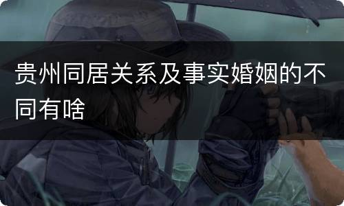 贵州同居关系及事实婚姻的不同有啥