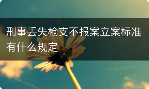 刑事丢失枪支不报案立案标准有什么规定