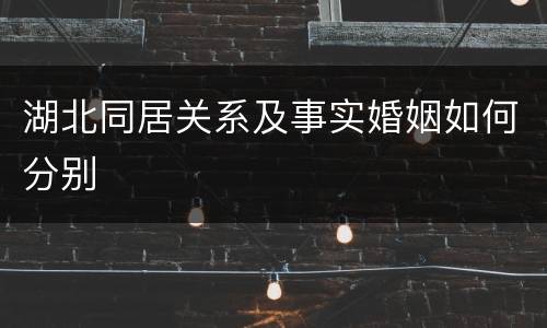 湖北同居关系及事实婚姻如何分别