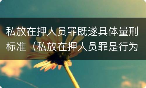 私放在押人员罪既遂具体量刑标准（私放在押人员罪是行为犯）