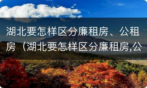湖北要怎样区分廉租房、公租房（湖北要怎样区分廉租房,公租房和商品房）