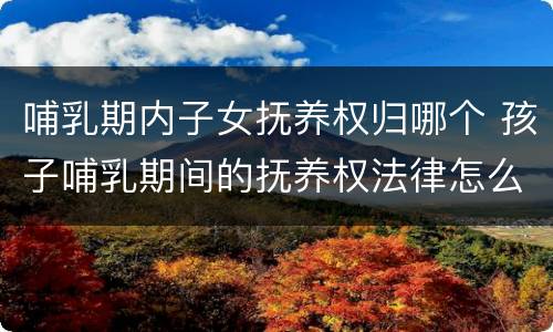 哺乳期内子女抚养权归哪个 孩子哺乳期间的抚养权法律怎么规定的